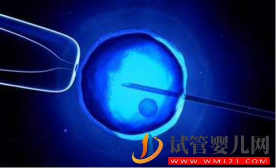 試管嬰兒要在體外培育多長時間？時間越長越好嗎？(圖2)