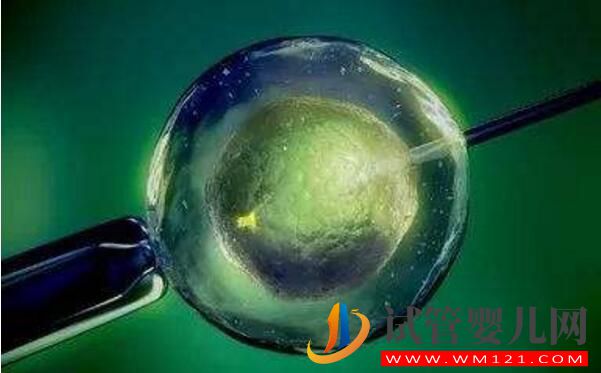 試管嬰兒要在體外培育多長時間？時間越長越好嗎？(圖3)