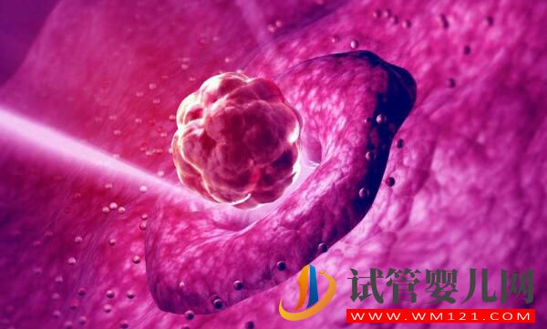 試管嬰兒移植成功后要如何保胎？記住這幾個(gè)技巧讓你輕松度過危險(xiǎn)期(圖1)