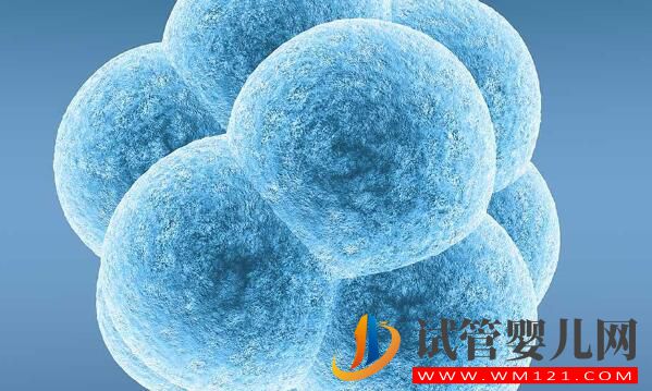 試管嬰兒移植成功后要如何保胎？記住這幾個(gè)技巧讓你輕松度過危險(xiǎn)期(圖2)