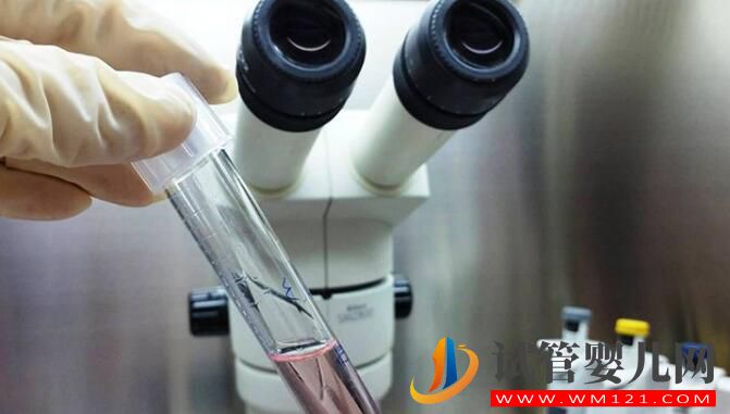 泰國試管嬰兒和國內(nèi)試管流程成功率有什么不同(圖3) 泰國試管嬰兒和國內(nèi)試管流程成功率有什么不同(圖3)
