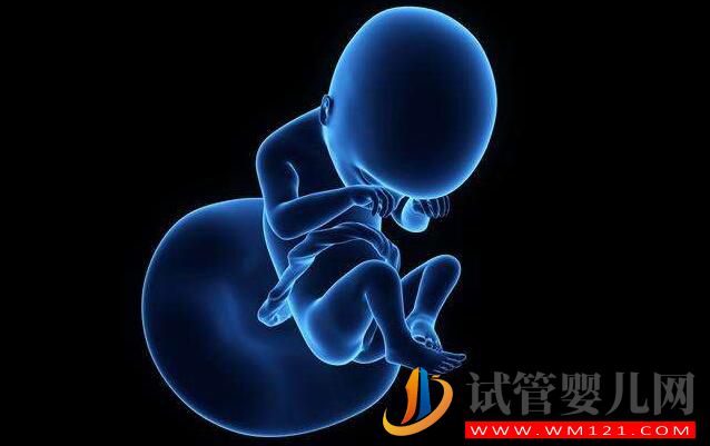 泰國試管嬰兒和國內(nèi)試管流程成功率有什么不同(圖4) 泰國試管嬰兒和國內(nèi)試管流程成功率有什么不同(圖4)