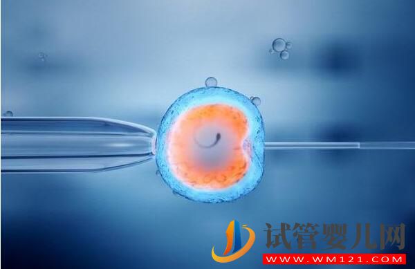 來(lái)看看試管嬰兒是怎么做的 了解試管嬰兒全過(guò)程(圖1)