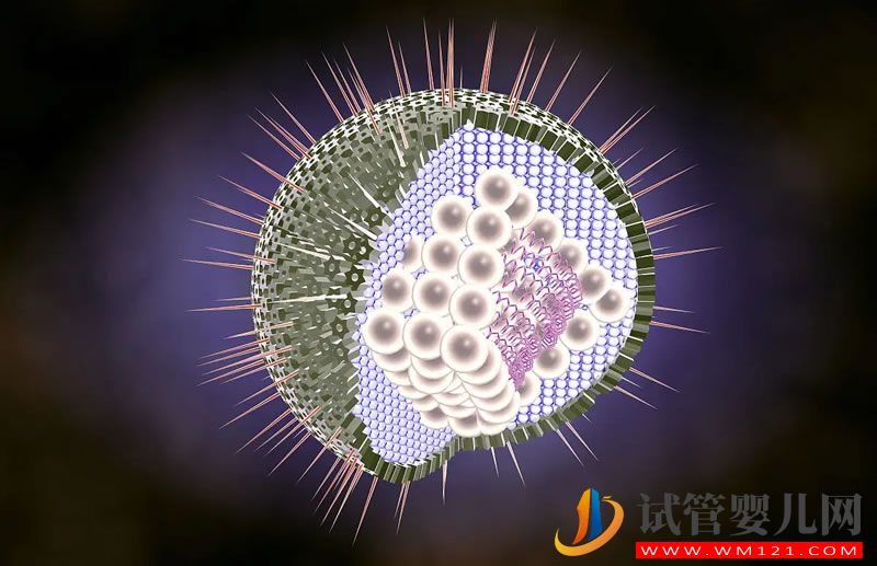 以毒攻毒！皰疹病毒“變身”癌癥克星(圖1)