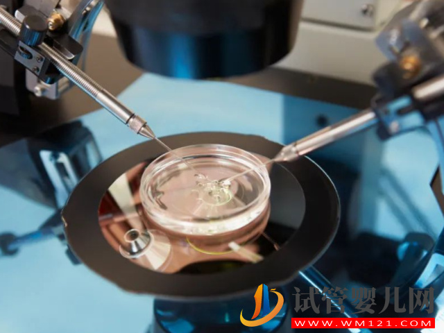 國內正規三代試管醫院排名，這些醫院選性別不用等(圖2)