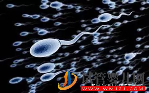 得了弱精子癥別著急,看這篇文章就清楚了(圖4)