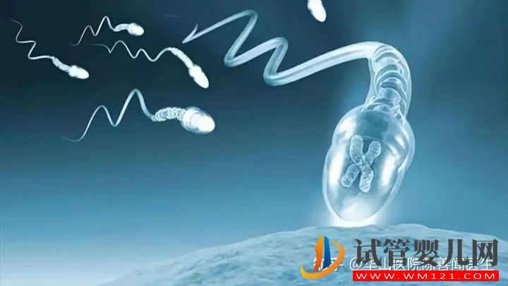 得了弱精子癥別著急,看這篇文章就清楚了(圖9)