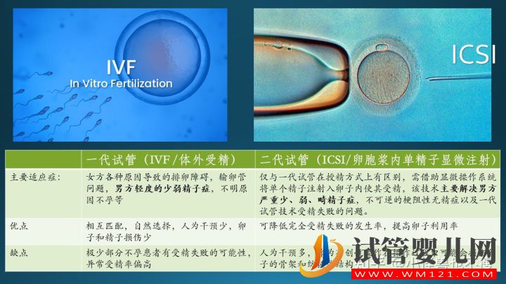 一代試管和二代試管的區(qū)別_畸形率高影響試管成功率(圖3) 一代試管和二代試管的區(qū)別_畸形率高影響試管成功率(圖3)