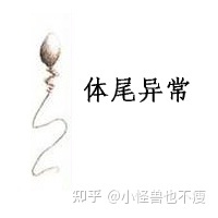 一代試管和二代試管的區(qū)別_畸形率高影響試管成功率(圖12) 一代試管和二代試管的區(qū)別_畸形率高影響試管成功率(圖12)
