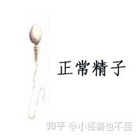 一代試管和二代試管的區(qū)別_畸形率高影響試管成功率(圖7) 一代試管和二代試管的區(qū)別_畸形率高影響試管成功率(圖7)