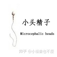 一代試管和二代試管的區(qū)別_畸形率高影響試管成功率(圖9) 一代試管和二代試管的區(qū)別_畸形率高影響試管成功率(圖9)