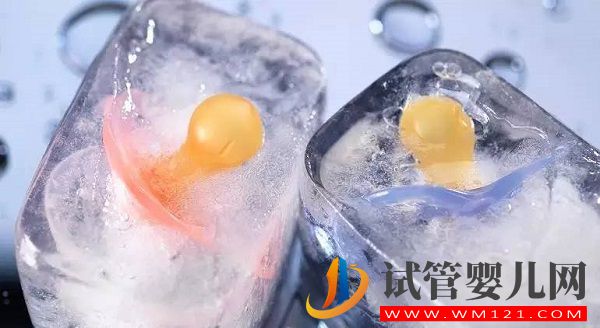 上海九院試管嬰兒大概需要多少錢(全流程花費(fèi)明細(xì)表)(圖3)