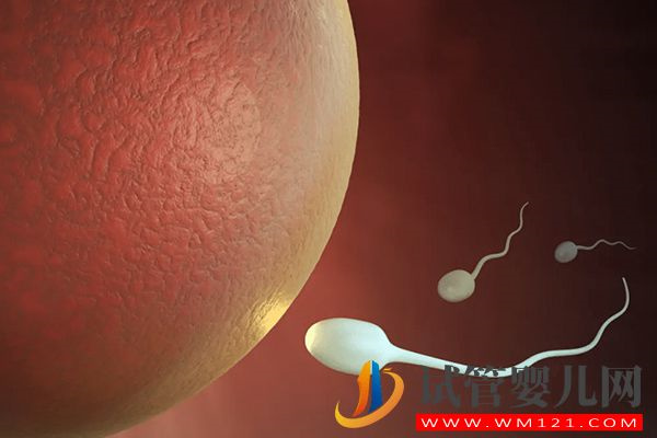 判斷精子進入子宮有3種方法，檢測血液hcg值只是其一(圖1)