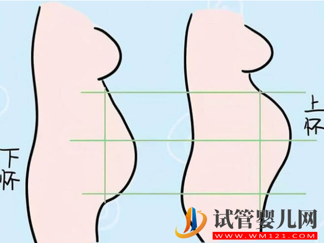 版清宮表生男生女圖分享，正確推算成功率達到100%(圖1)