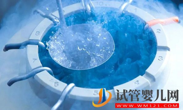 試管嬰兒可以做幾次(圖1)