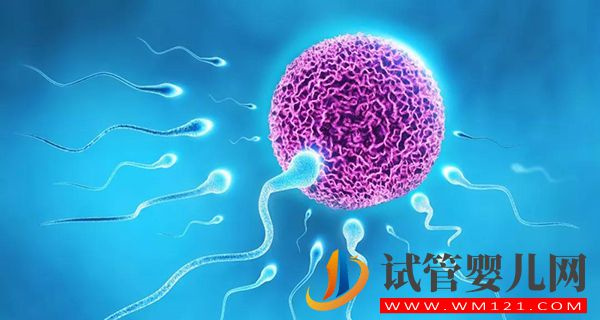 男性結(jié)扎后在試管嬰兒要多少錢(圖1)