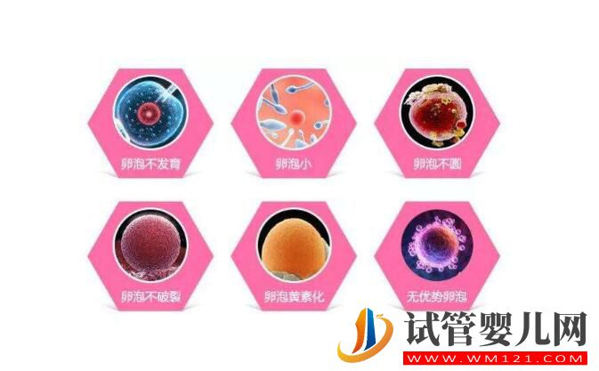 卵泡成熟遇到障礙怎么辦 有什么有效的辦法盡快懷孕？(圖2)