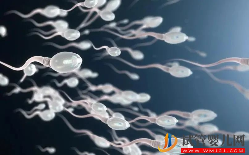 準備試管嬰兒及生育期男性的注意事項!(圖1)