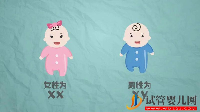 越想要男孩,越生不出來_生男孩一點也不難!(圖1)