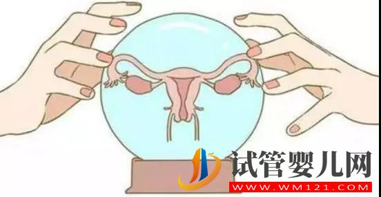 卵泡不發育嗎？你錯了，養卵小妙招用起來，分分秒秒助懷(圖1)