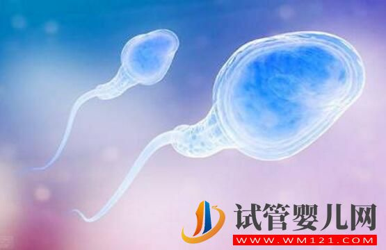 男性備孕期間,該干什么 不該干什么(圖1)