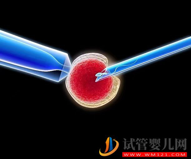 高齡女性在做三代試管時，取多少個卵子合適？(圖1)