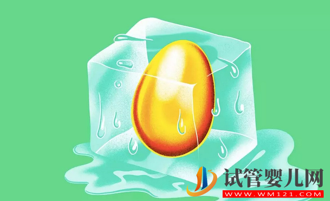 國外“凍卵”二三事(圖1)