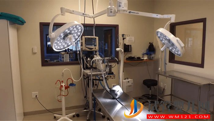 廈門安寶醫(yī)院試管嬰兒成功率、費(fèi)用與流程指南(圖2) 廈門安寶醫(yī)院試管嬰兒成功率、費(fèi)用與流程指南(圖2)