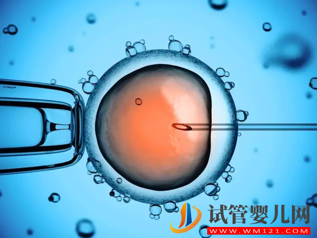 試管嬰兒如何建檔產(chǎn)檢，什么時(shí)候建檔產(chǎn)檢(圖1)