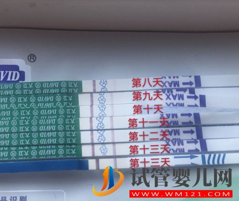 用供卵做試管會(huì)后悔嗎?想明白這幾件事就好了(圖2) 用供卵做試管會(huì)后悔嗎?想明白這幾件事就好了(圖2)