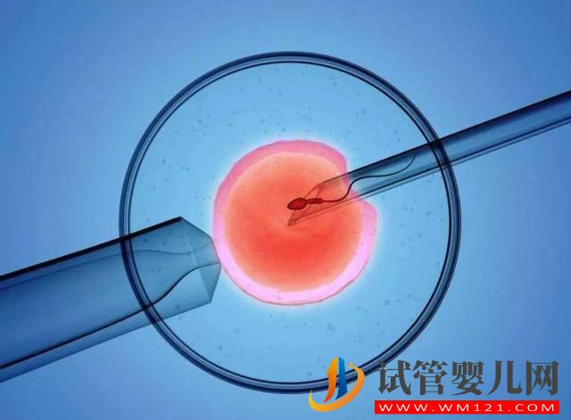 輸卵管堵塞可以懷孕嗎(圖1)