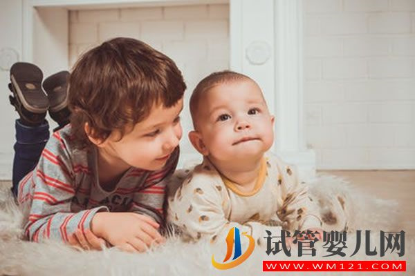 試管嬰兒懷孕更容易流產嗎_試管嬰兒成功率(圖1)