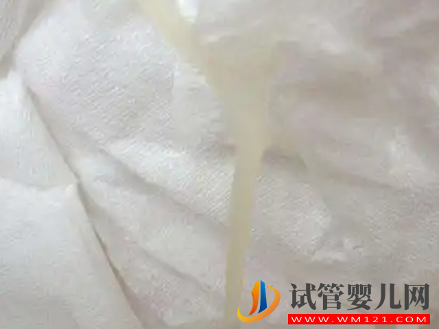 一圖看清胚胎著床成功排出的白帶表現，呈水樣、發黃都是好“孕”(圖2)