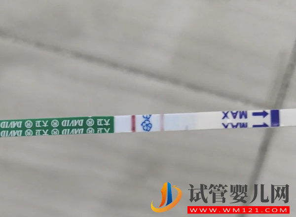 一文便知明顯兩條杠其實沒懷孕的五大原因(圖1)