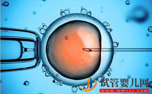 試管嬰兒費用包括哪些部分呢？如何減少的費用(圖2)