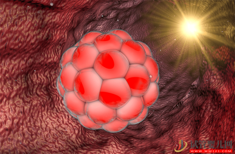 做試管養不養囊？不用糾結！一文清晰幫您分析利弊(圖1)