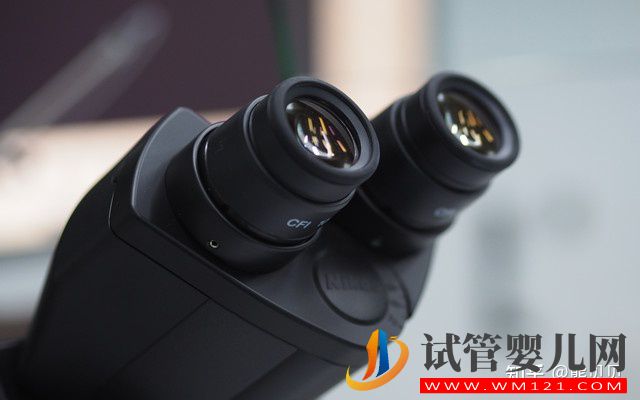 做三代試管嬰兒的利弊有哪些(圖2)