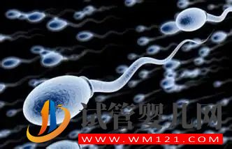 無精癥的癥狀有哪些？(圖1)