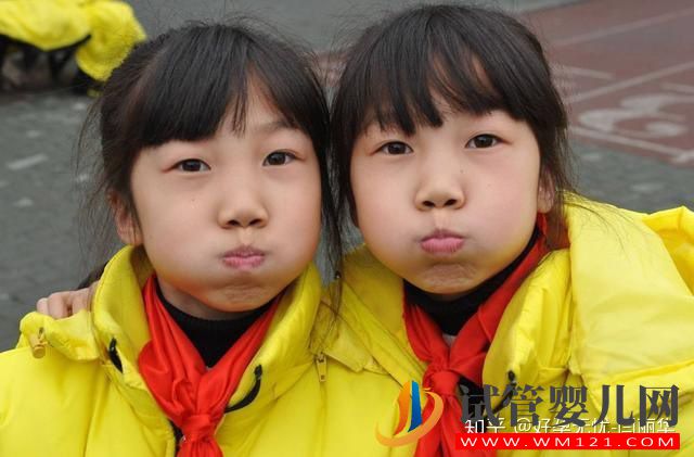 為什么生雙胞胎的家庭越來越多(圖2)