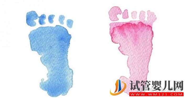 為什么做試管嬰兒大部分是龍鳳胎_試管知識(shí)告訴你(圖1) 為什么做試管嬰兒大部分是龍鳳胎_試管知識(shí)告訴你(圖1)