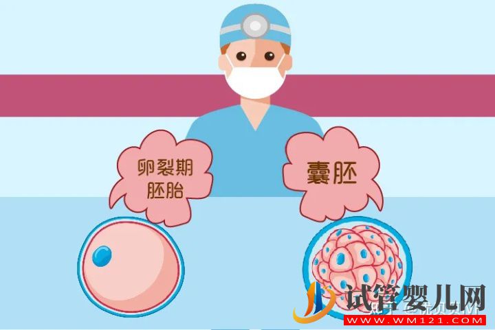 養囊VS不養囊,利弊一文講清楚(圖1)