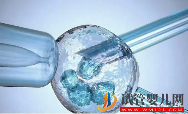 養囊主要看精子質量嗎(圖2)