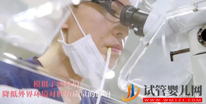 要不要養囊胚,如何提高養囊成功率(圖4)