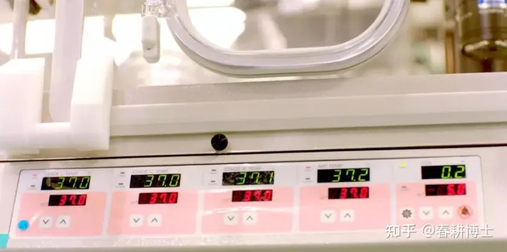 要不要養囊胚,如何提高養囊成功率(圖5)