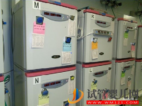 要不要養囊胚,如何提高養囊成功率(圖12)