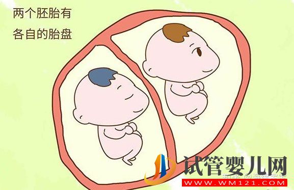 龍鳳胎是怎么形成的_龍鳳胎形成過程(圖1) 龍鳳胎是怎么形成的_龍鳳胎形成過程(圖1)