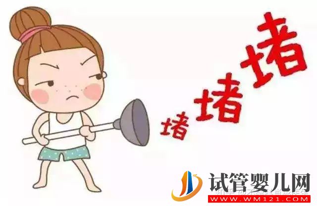 輸卵管最容易堵塞的部位,不得不防(圖2)