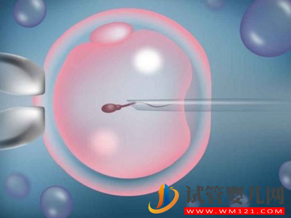 日本英醫(yī)院做試管嬰兒技術(shù)怎么樣？(圖1)