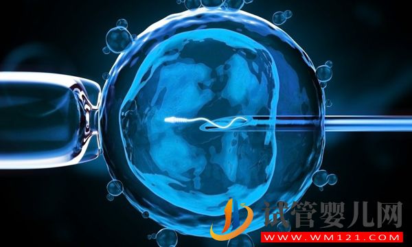 細數日本人工授精費用，醫療、生活與國內差別竟如此(圖1)