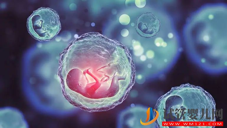 了解可能增加流產(chǎn)風(fēng)險(xiǎn)的 5 個(gè)原因 了解可能增加流產(chǎn)風(fēng)險(xiǎn)的 5 個(gè)原因(圖5)